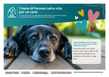 Regalo virtuale San Valentino animali - 1 mese di farmaci salva vita per un cane