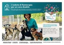 Regalo virtuale Festa della Mamma animali - 2 sedute di fisioterapia per un cane disabile