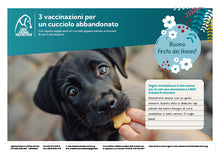 Regalo virtuale Festa dei Nonni animali - 3 vaccinazioni per un cucciolo abbandonato