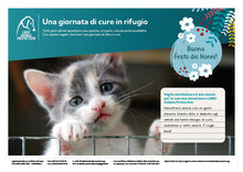 Regalo virtuale Festa dei Nonni animali - Una giornata di cure in rifugio