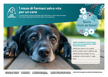 Regalo virtuale Festa dei Nonni animali - 1 mese di farmaci salva vita per un cane