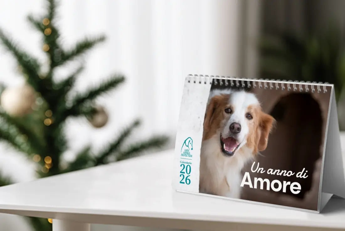 calendario-animali-donazione-natale