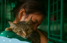 regalo-donazione-cibo-animali