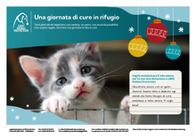 regali-virtuali-animali-cure-rifugio