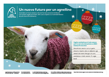 Un nuovo futuro per un agnellino