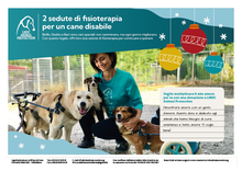 2 sedute di fisioterapia per un cane disabile