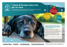 1 mese di farmaci salva vita per un cane