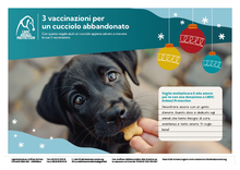 3 vaccinazioni per un cucciolo abbandonato
