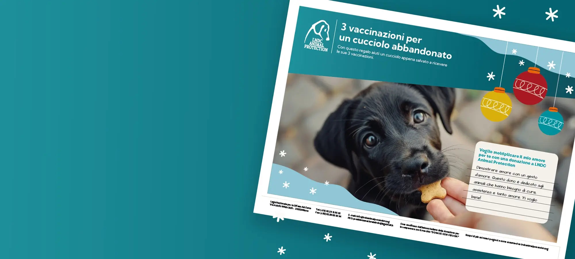 regali-virtuali-donazione-animali